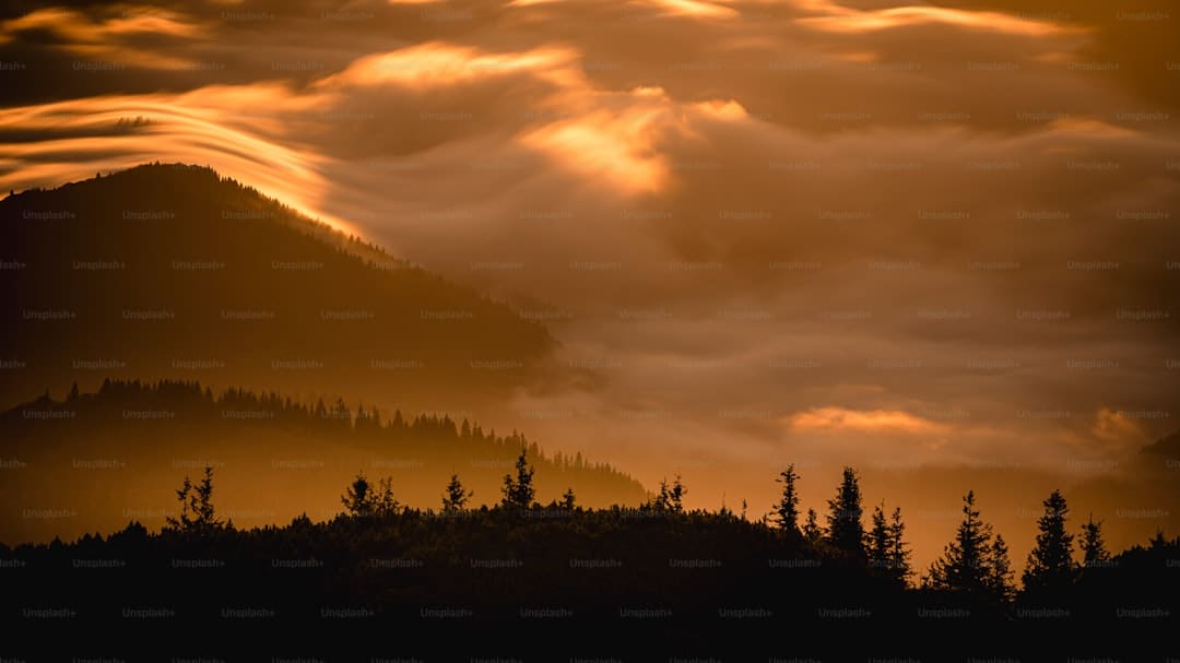 http://www.kcrea.cc/skin/default/image/zoomin.gif